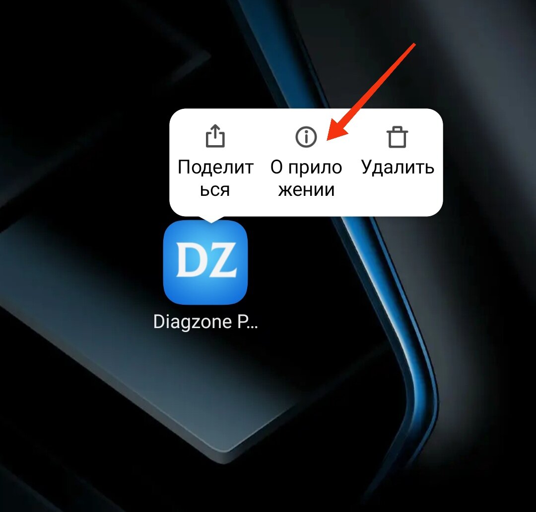 Ошибка логина DIAGZONE PRO. Решение проблемы | 21mir | Дзен