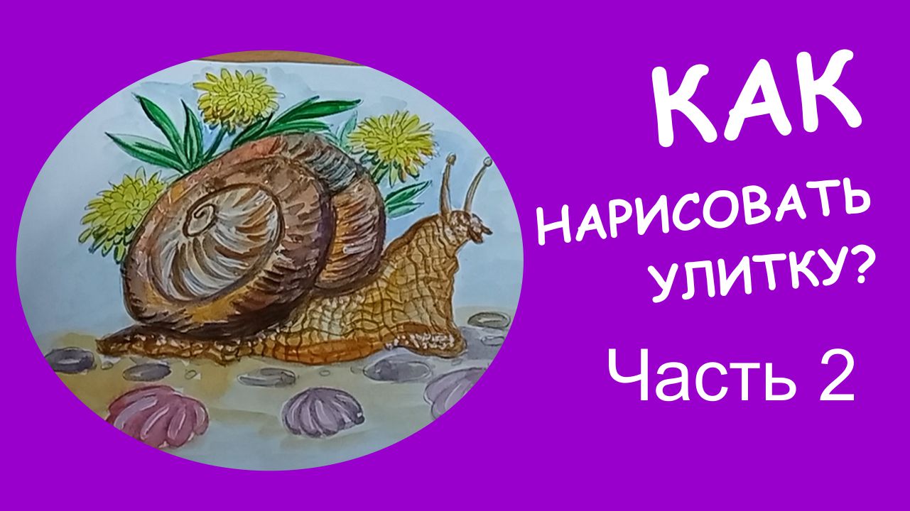 Как нарисовать улитку? Простые рисунки Ч2