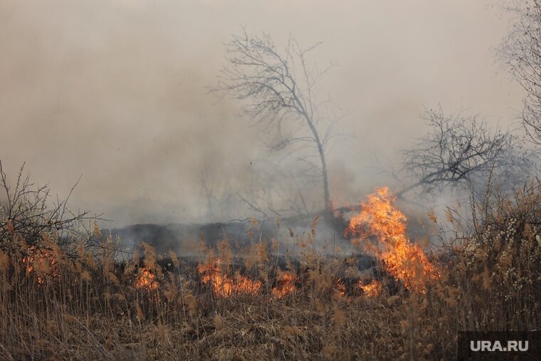    Лесной пожар требует постоянной траты денег и сил, поэтому упор должен быть сделан на его предупреждение
