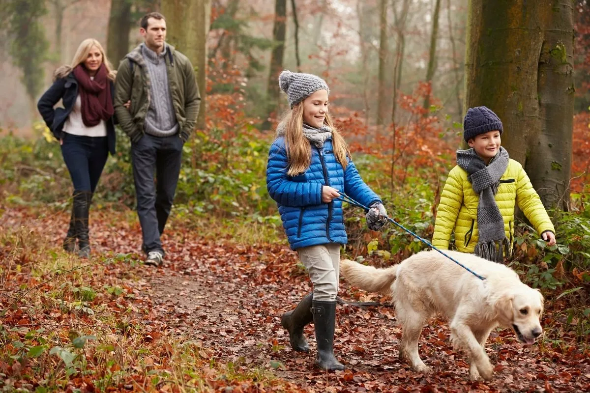 Погулять на свежем воздухе. Семья на прогулке. Прогулка в парке. Дети на прогулке. Прогулка с собакой.
