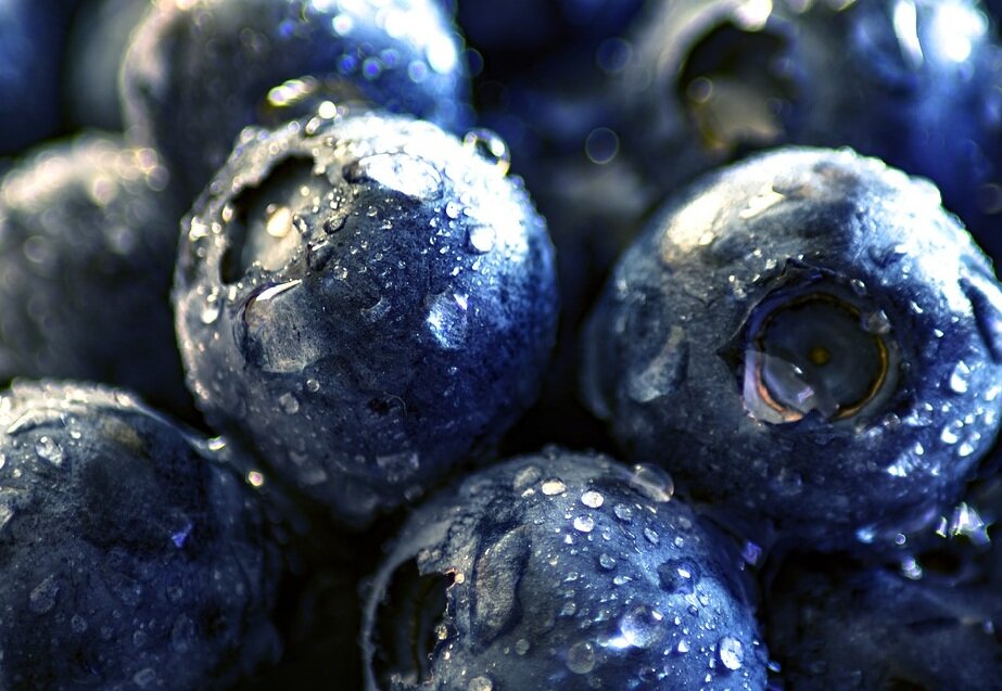 полезная черника