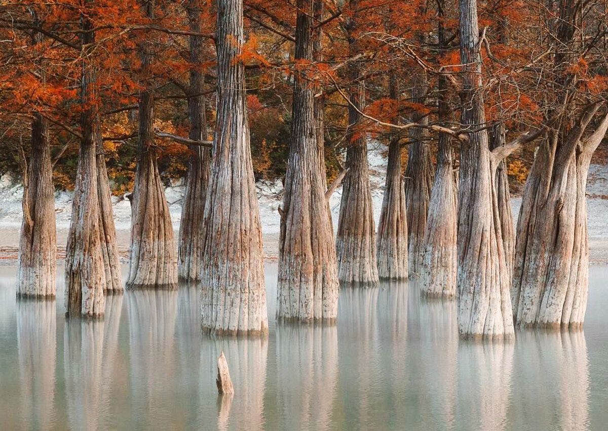 Фото: @ted.ns, instagram.com*