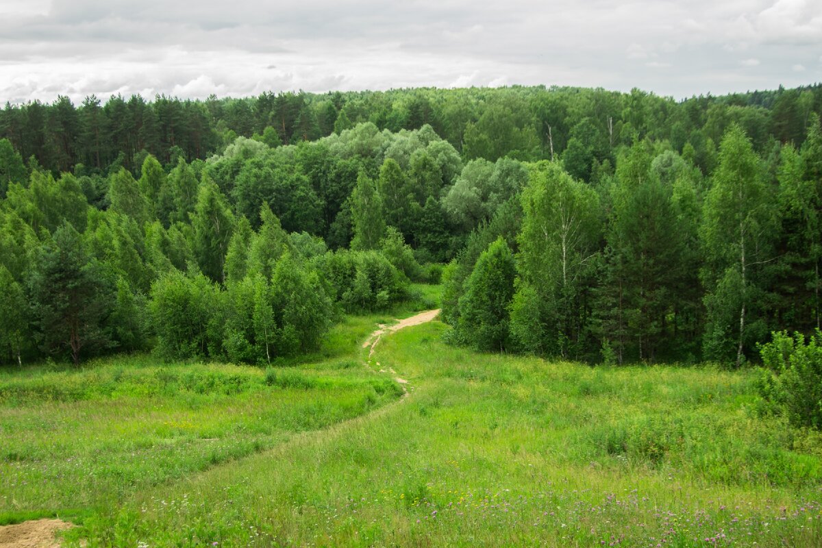 Лето в подмосковье