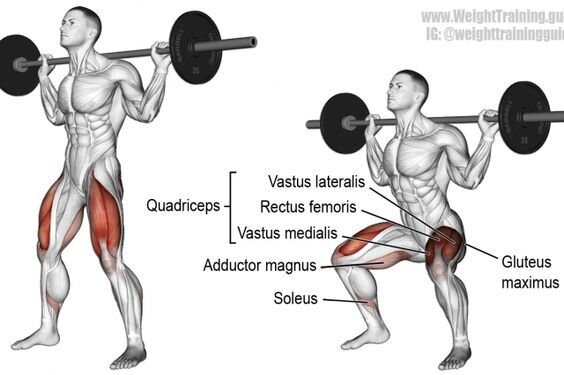 Приседания со штангой