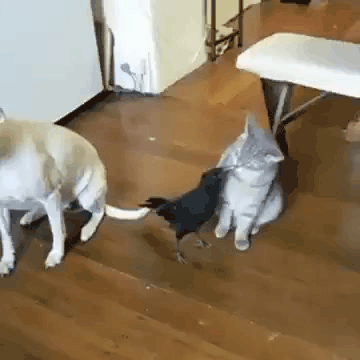 Нажми на картинку, чтобы посмотреть видео. Источник: Ютуб.