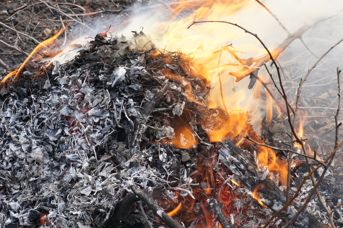 Хорошо помогает "сжечь" стрессы!