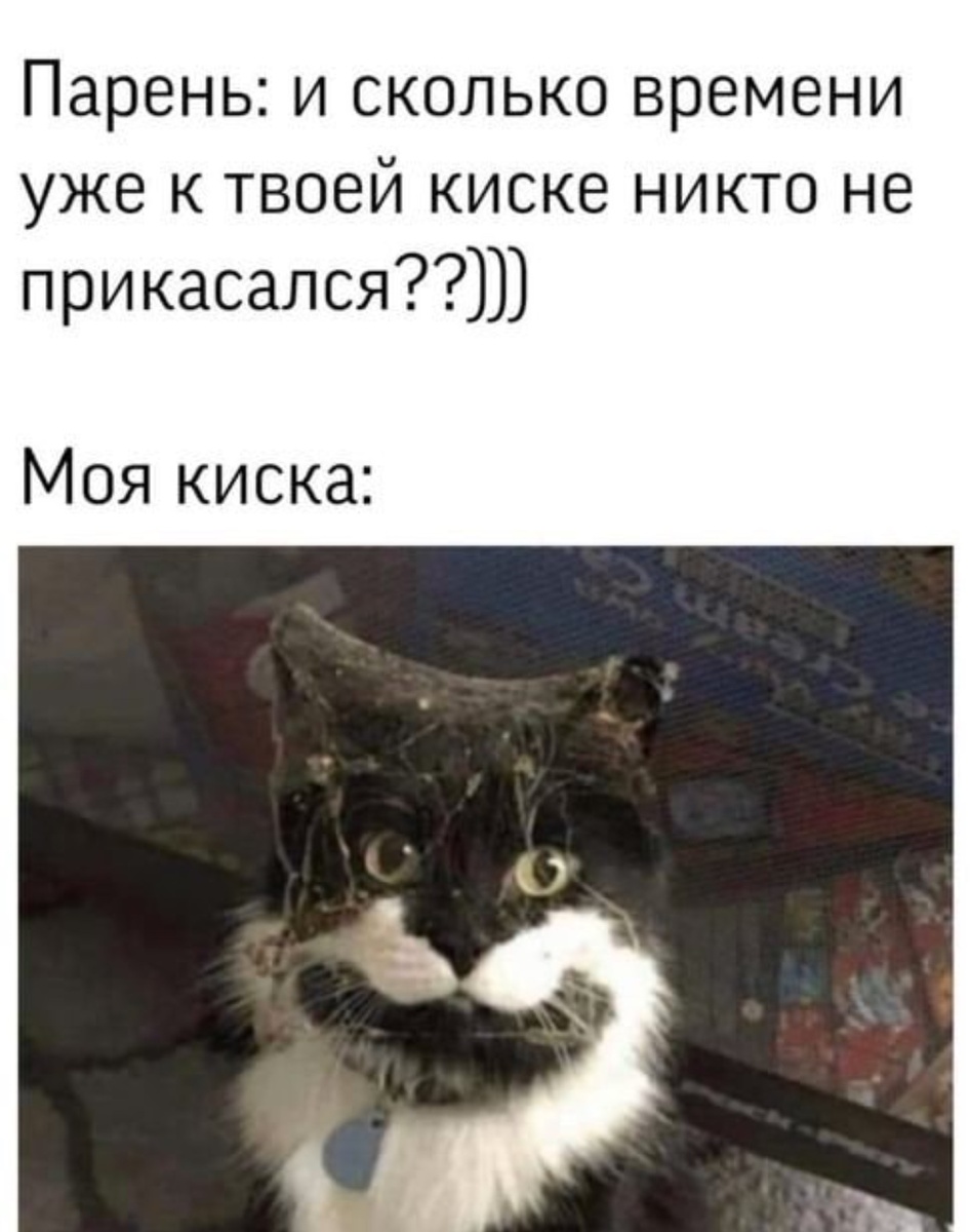 Животные удивительные существа, особенно когда они творят своё безумство.  