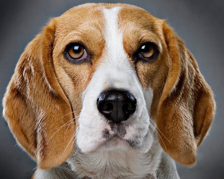 Изображение взято с сайта pinterest.ru