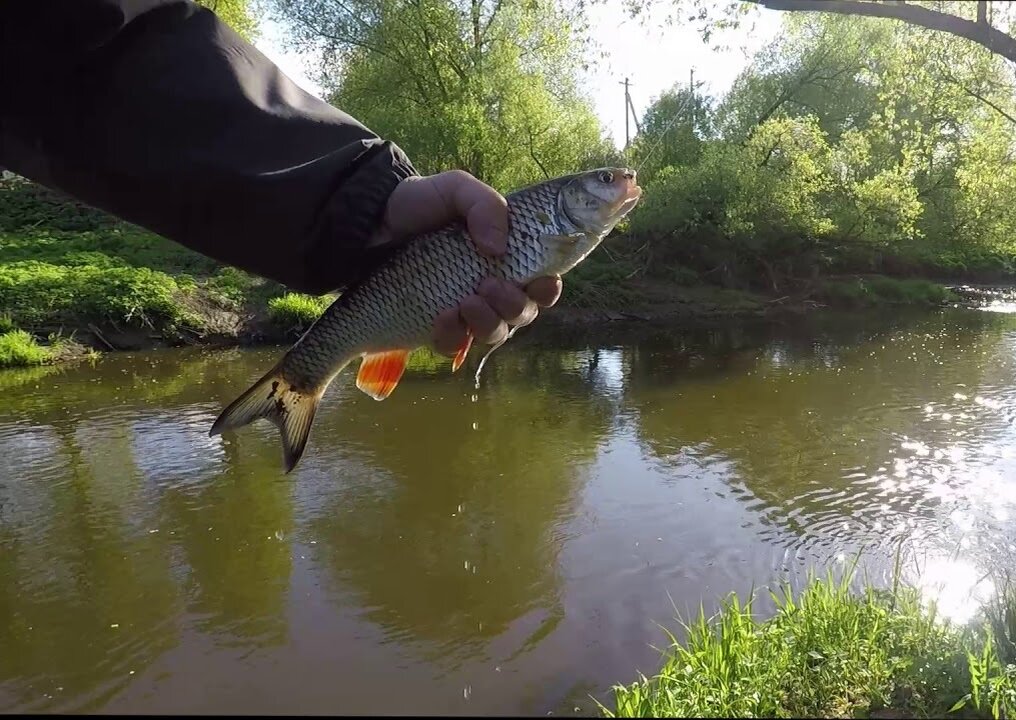 Малые реки отличное место для поиска рыбы!