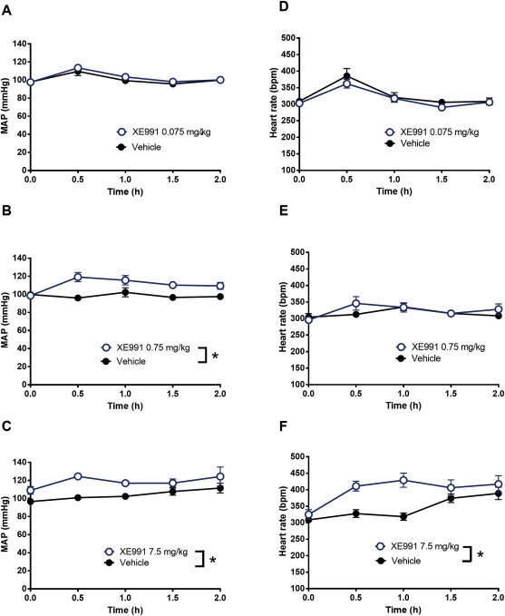 2. Среднее артериальное давление (MAP) и частота сердечных сокращений у сознательных крыс. МАП после введения соответственно (а) 0,075 мг/кг, (Б) 0,75 мг/кг и (в) 7,5 мг/кг ХЕ991. Частота сердечных сокращений после введения соответственно (D) 0,075 мг/кг, (E) 0,75 мг/кг и (F) 7,5 мг/кг ХЕ991. Карта и частота сердечных сокращений представлены каждые 30 мин ±4 мин, исходный уровень составляет 12 мин ±4 мин перед каждым введением XE991. n = 6-9. *P