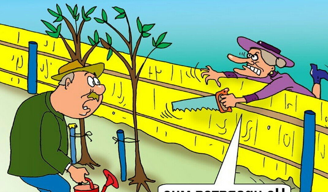 Источник: Яндекс картинки