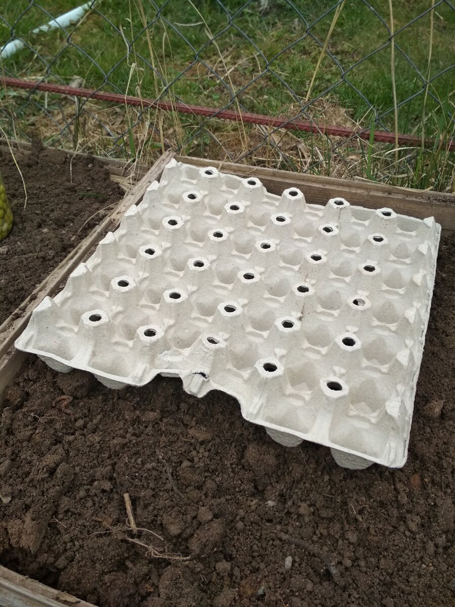 Фото с личного архива. 