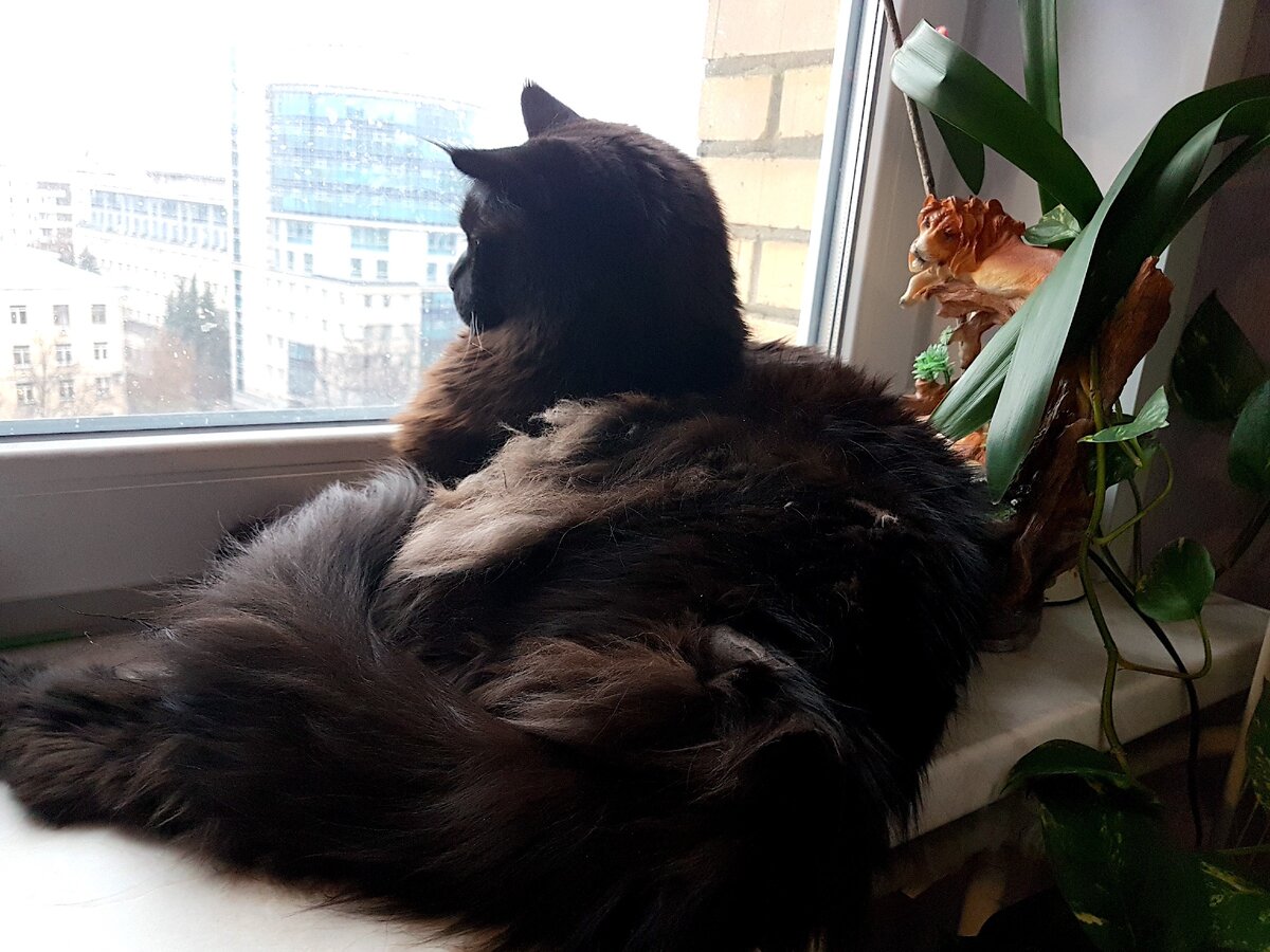 Это я - Вик