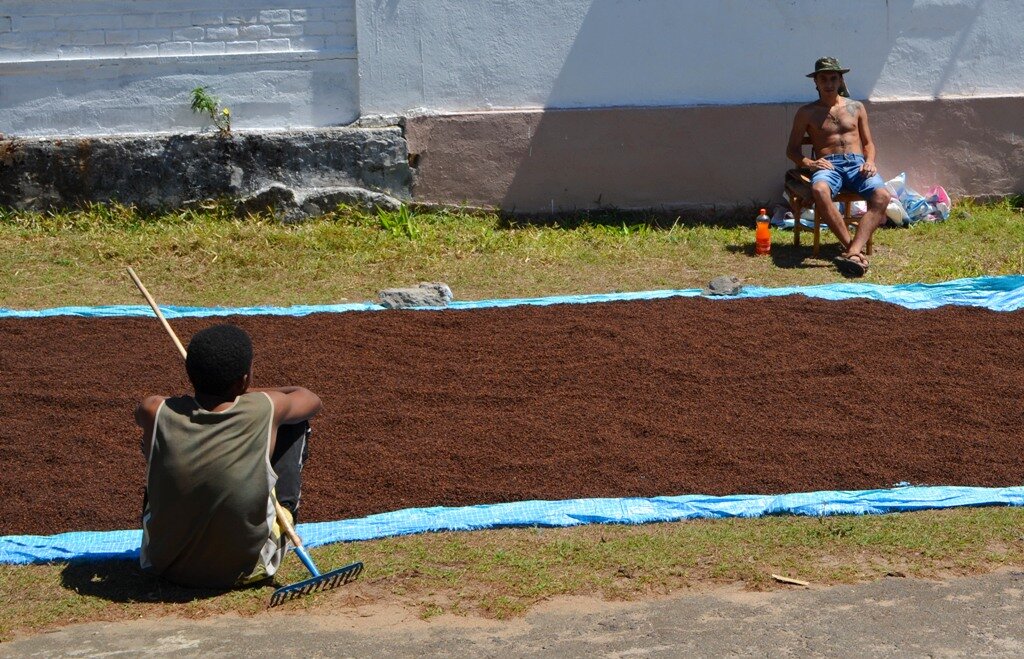 2. С августа по декабрь 2013 года Женя находился на Мадагаскаре. Помогал нам с Сандрой заготавливать гвоздику.

