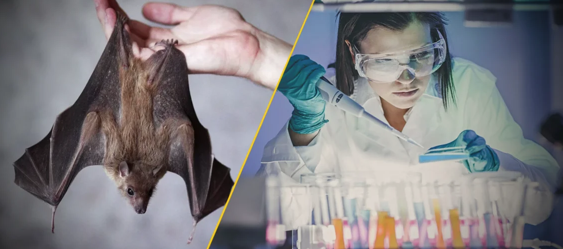 Фото с Яндекс.Картинки