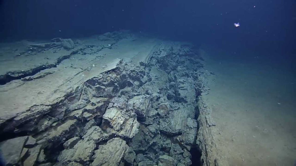 Подводные хребты в океанах. Берингово море дно. Подводные Океанические хребты Тихого океана. Донные отложения Атлантического океана. Донные отложения в океане.