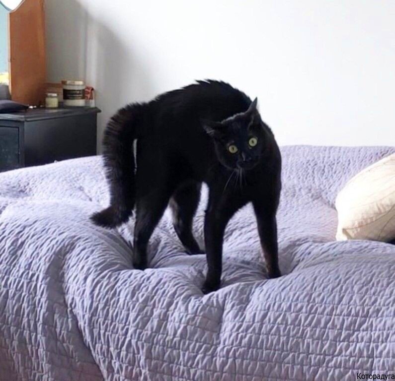 Источник: pinterest.com