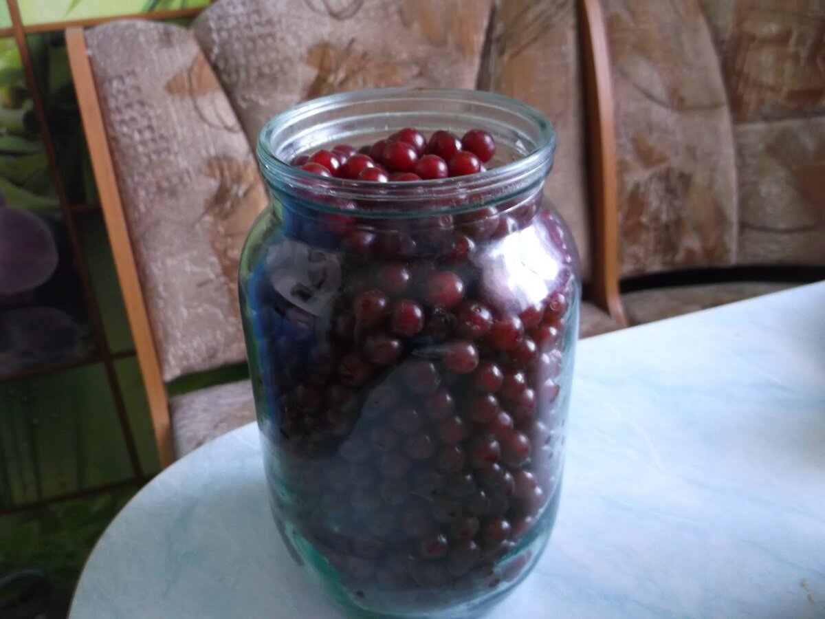 Компот из черемухи на зиму – 6 рецептов на 3 литровую банку с пошаговыми фото