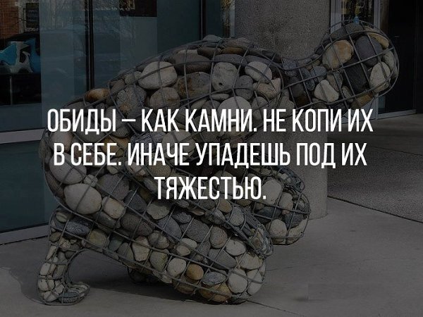 Картинка из интернета