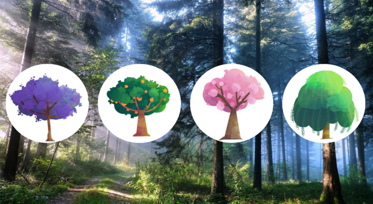 Фотоматериал: pinterest.ru 1obl.ru