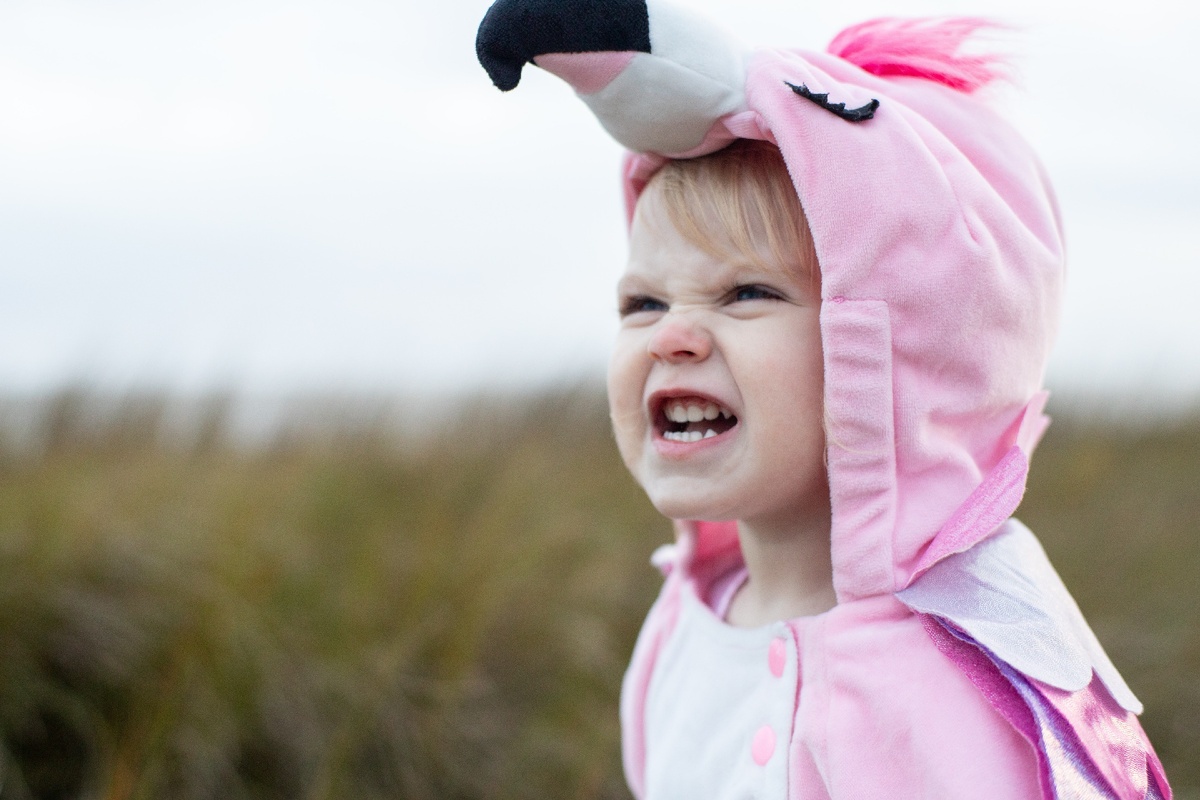https://unsplash.com/photos/JU3JRocoNas