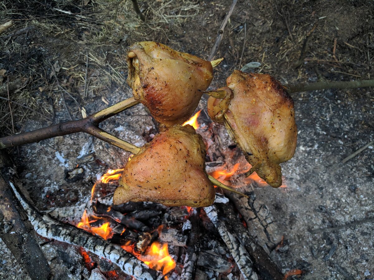 Куриные бедрышки приготовленные на огне (фото Руслана Ефимова)