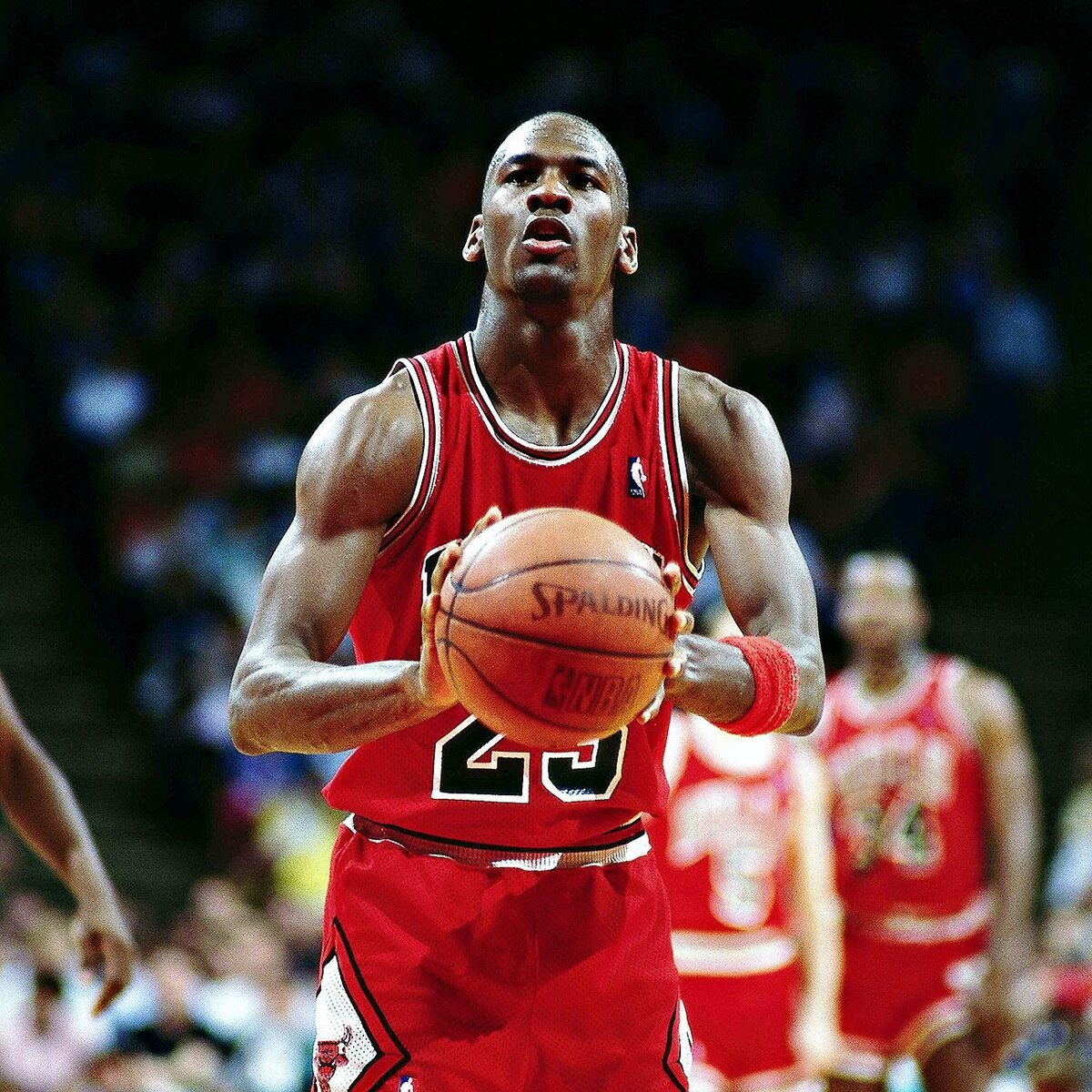 Фото взято с сайта https://vladtime.ru/