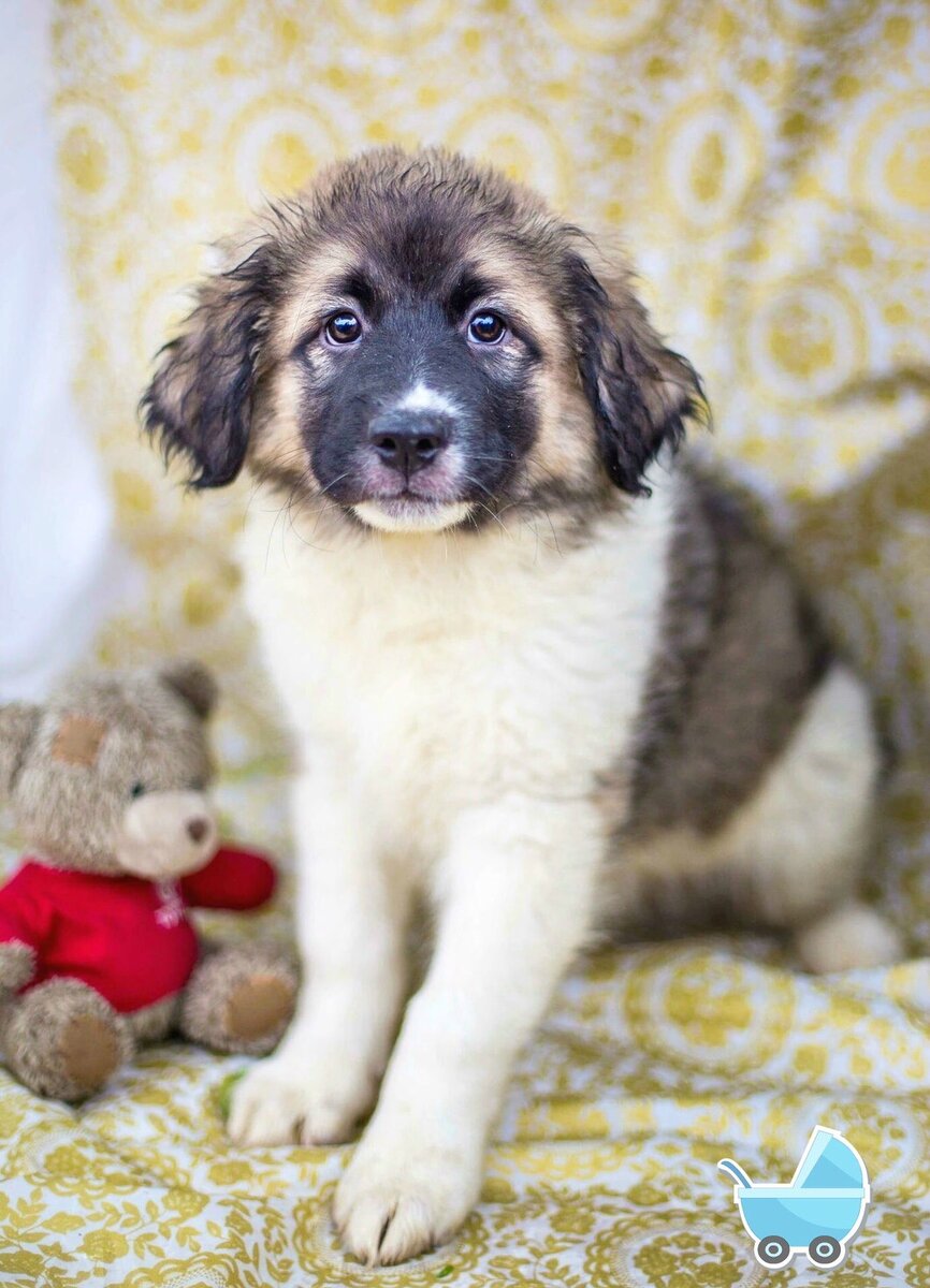 Этого мальчика почти сразу забрали домой 