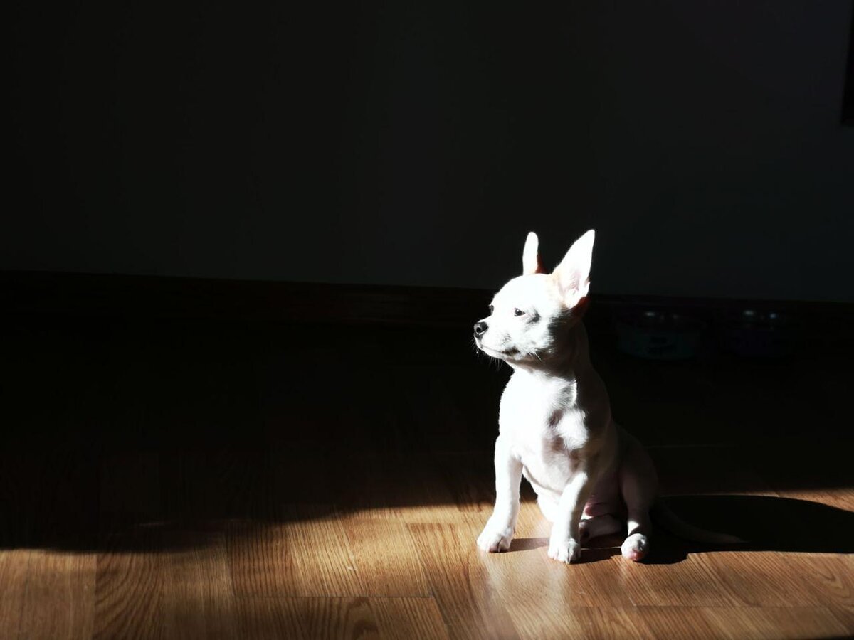 Смотрит, задумчиво в окно на восход