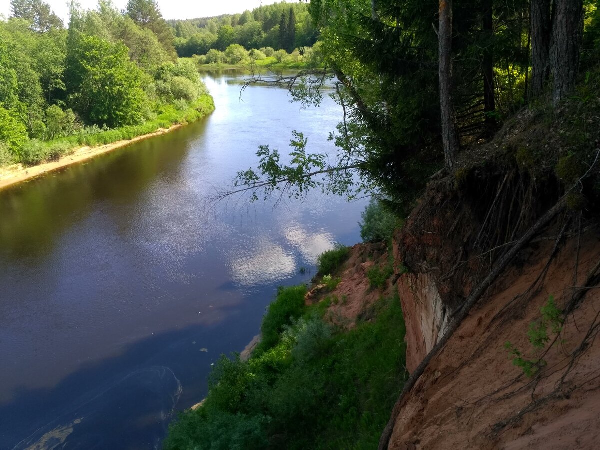 Река в луге. Река Луга Кингисепп. Река Луга в Ленинградской области. Река Луга Исток. Река Елена Ленинградская область.