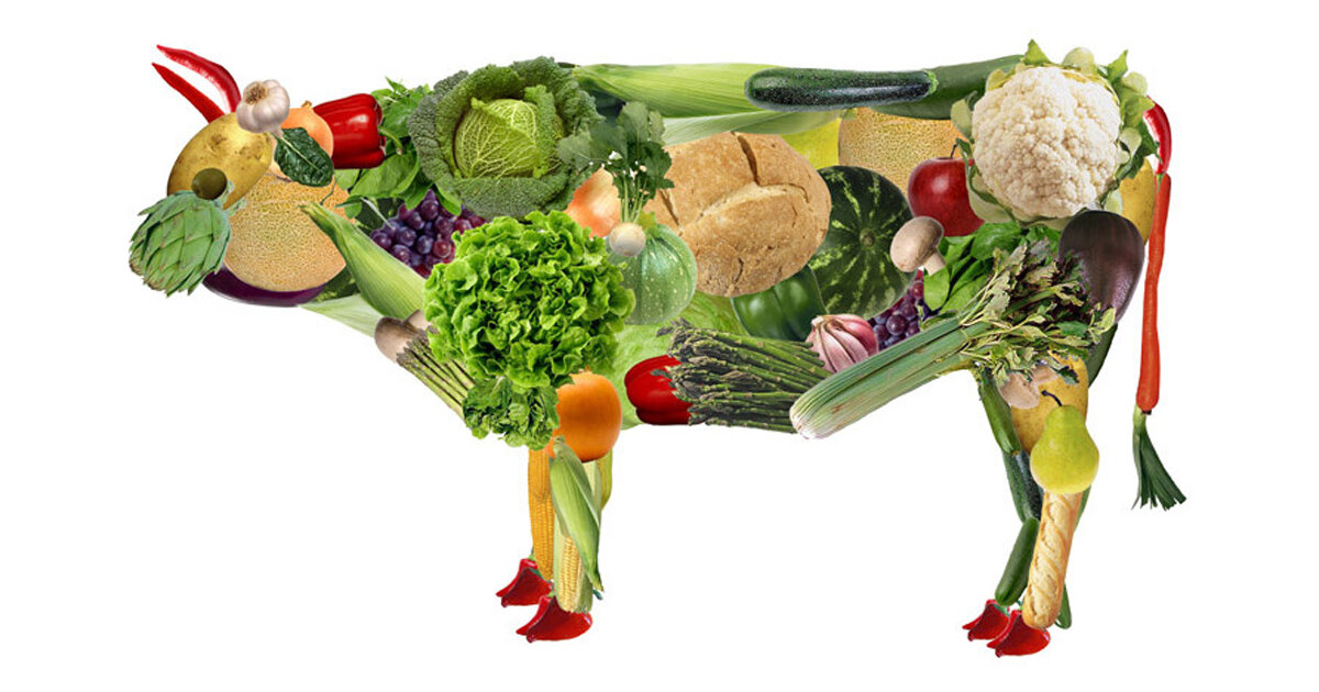 Источник: https://catch.today/