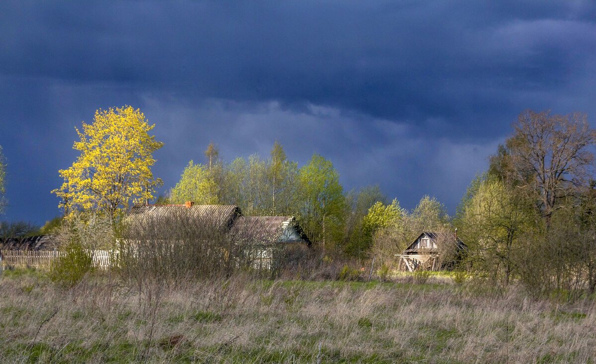 Деревня под новгородом. Новгородская деревня. Заброшенные деревни Новгородской области. Глухие деревни Новгородской области. Заброшенные деревни Новгородской области Поддорский.