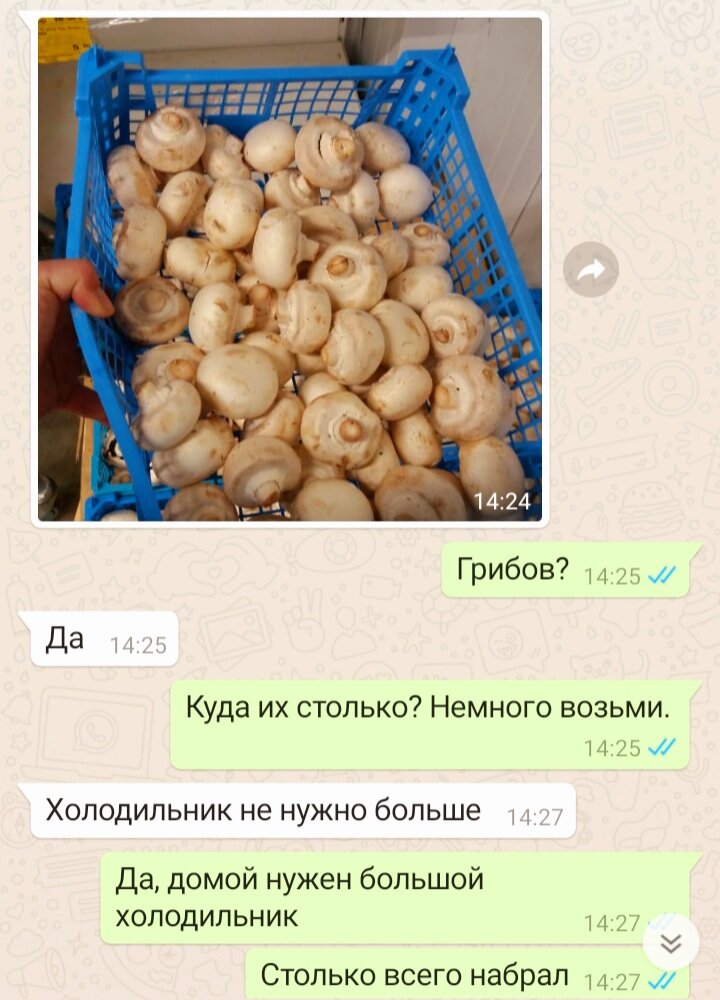 Скрин нашей с мужем переписки. Без юмора никуда!