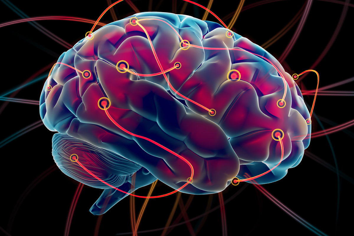 Источник: Яндекс Картинки