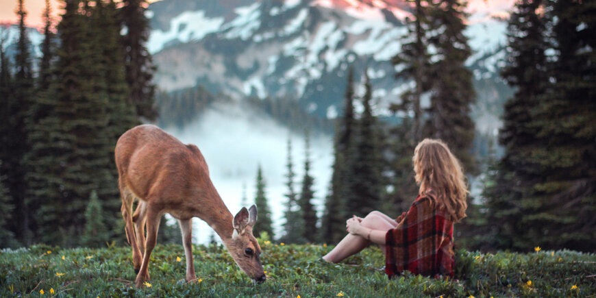 Гармония с животными, Землей и Богом