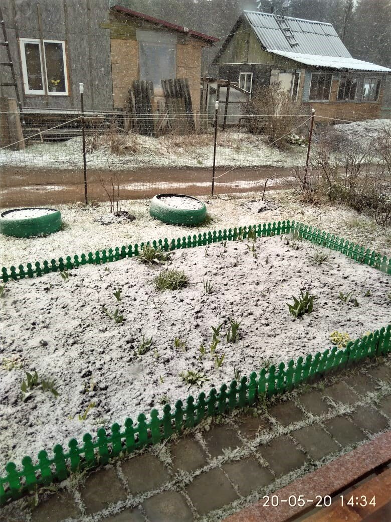 Фото из личного архива.