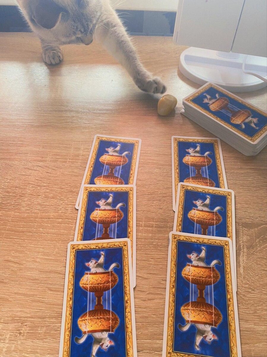 Питомец одобрил :D