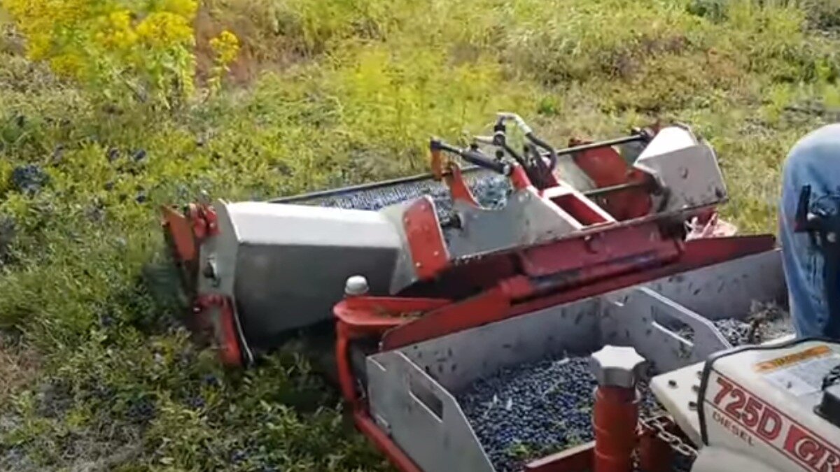 Фото: YouTube-канал Quantum Tech HD Приспособление для сбора черники для самоходной газонокосилки Grasshopper Model 725DT