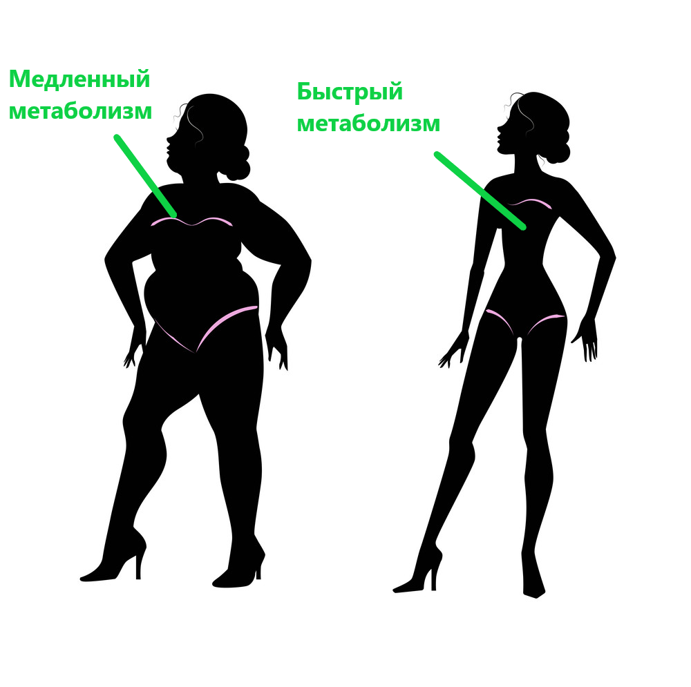 Взято с https://cdn5.vectorstock.com/