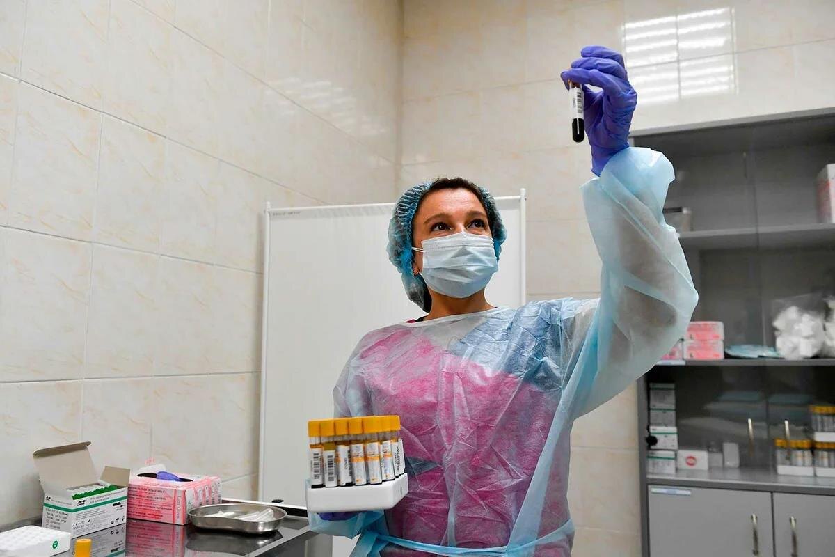 Фото - yandex.net