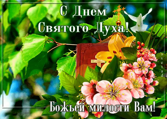 фото из Яндекс картинки 