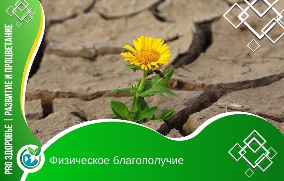 Фото: https://pixabay.com/photos/flower-life-crack-desert-drought-887443/