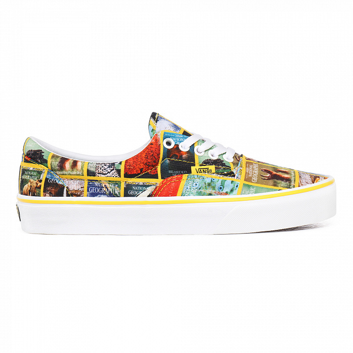 Так выглядят кеды