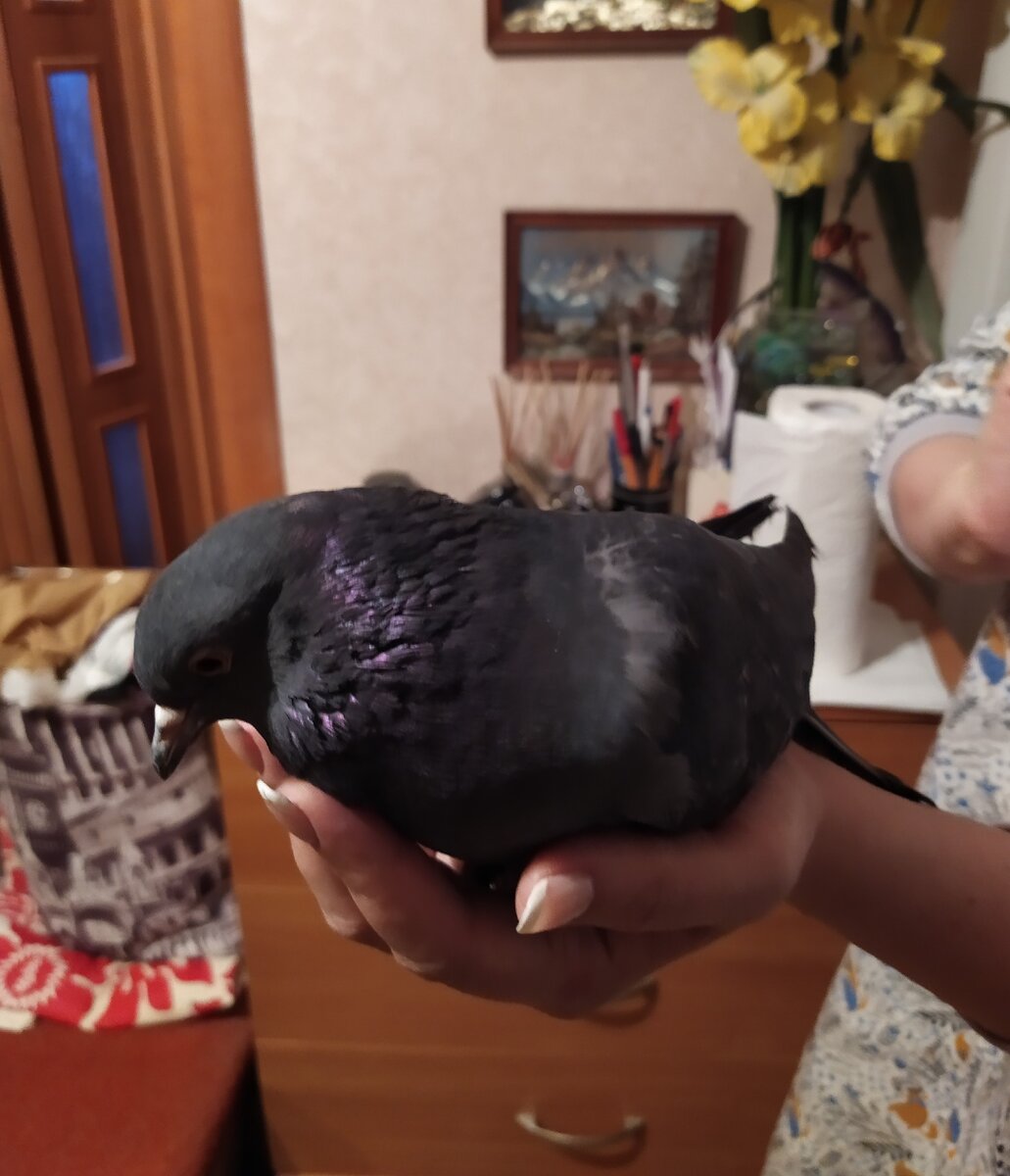 Мася