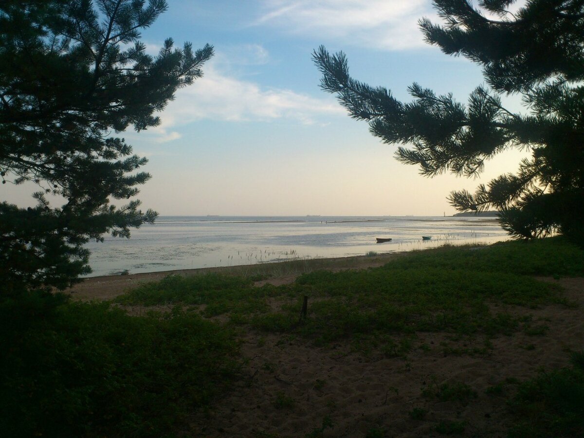 Вот они наши заросли у родного порога))) Мое бесконечно-любимое Рыбачее.