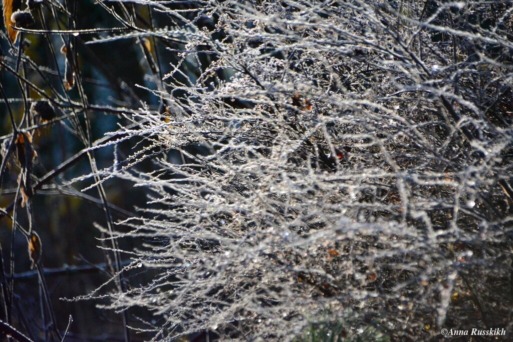 снег в москве. сильная метель. пурга зимой. снег в москве в апреле. сильный снег прикамье.