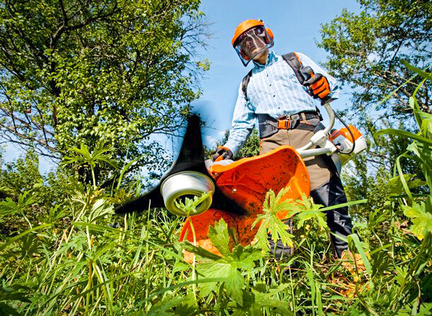 Источник: yandex.ru