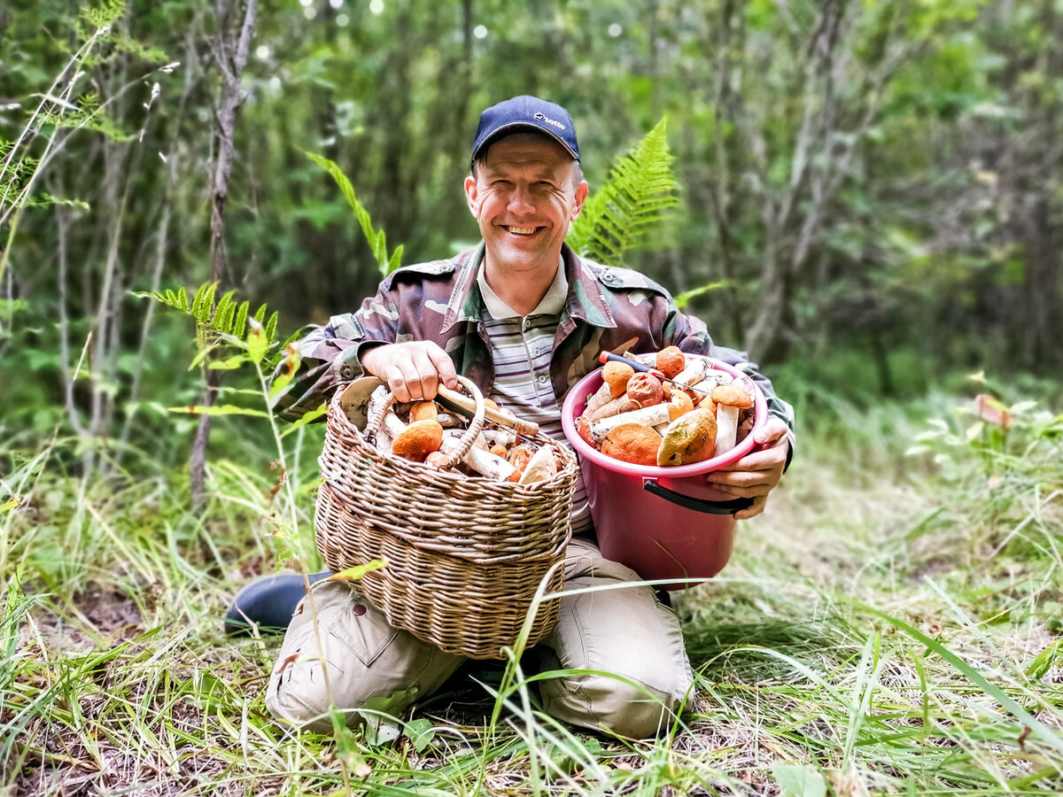 Грибы в тайге. Грибники и ягодники смоленск. Грибы и сообщество. Грибы пошли. Карелия леса грибы.