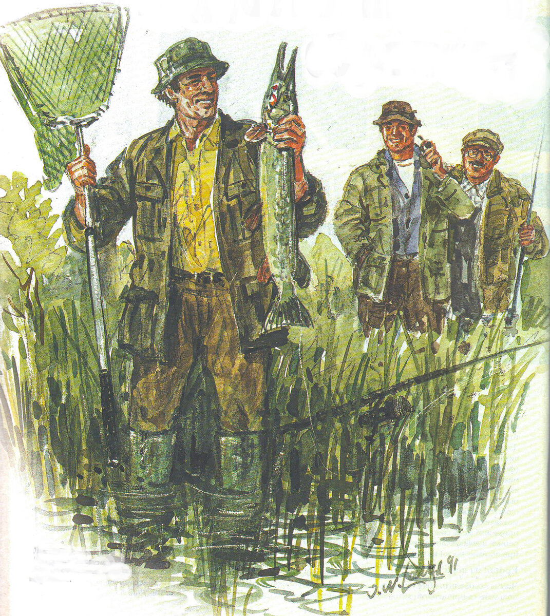 Картинка про щуку.