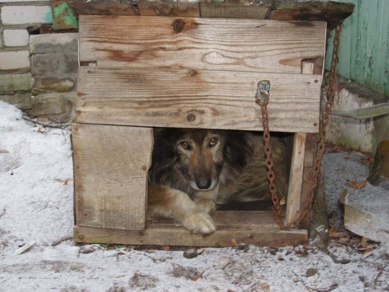 Фото с просторов интернета